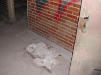 Chicago Ghost Hunters Group investigates Manteno Asylum (41).JPG